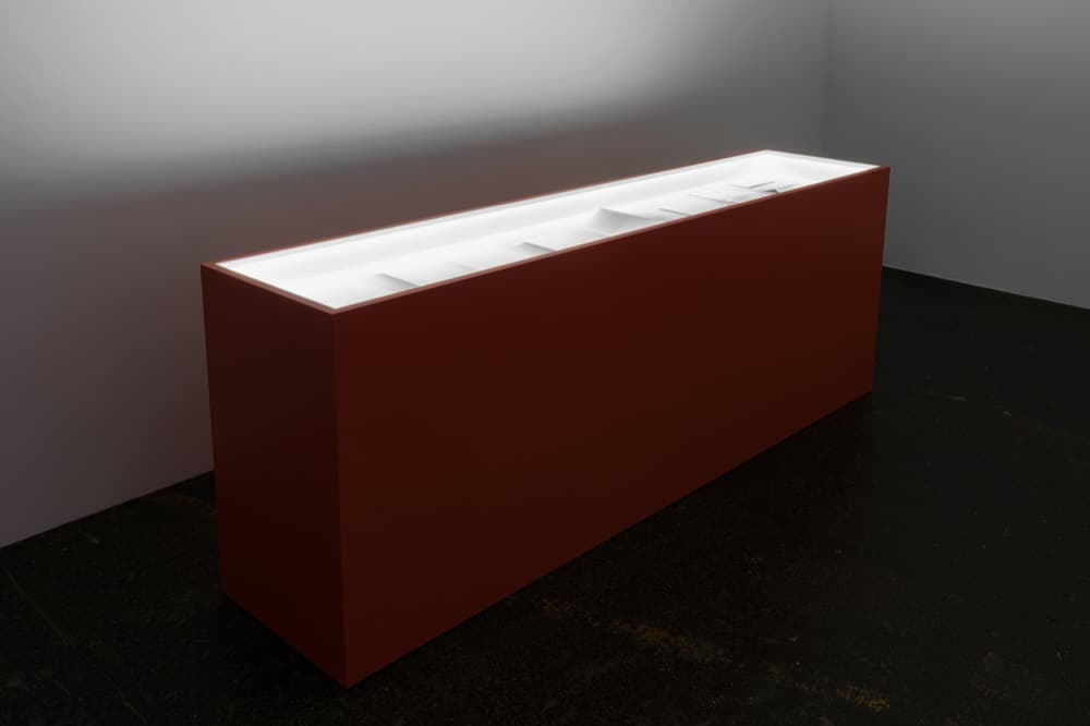 The Family Vitrine, 2016.
Vitrine, documents. 89 x 54.5 x 247 cm
