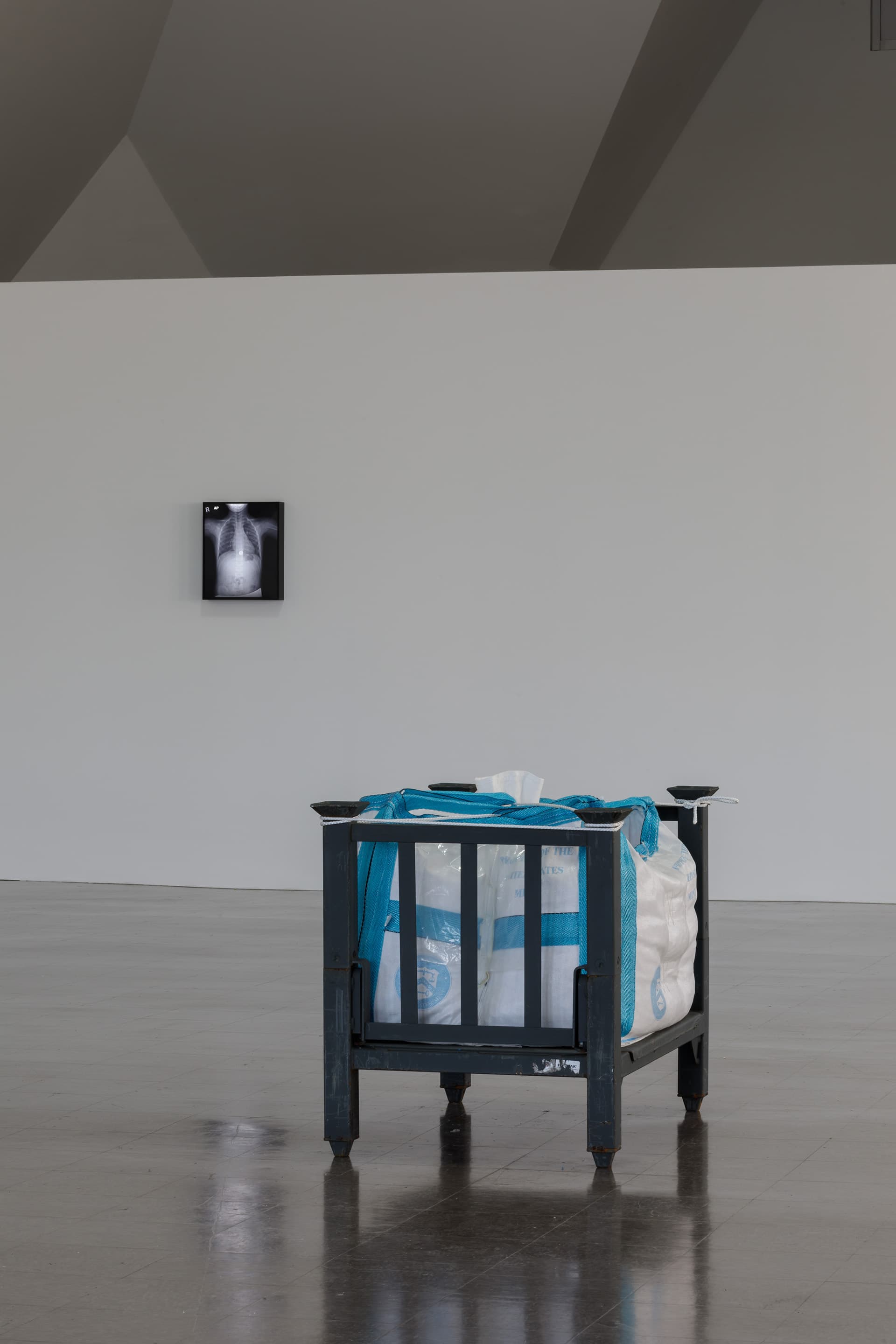 JILL MAGID, TENDER: BALANCE, INSTALLATION VIEW, THE RENAISSANCE SOCIETY, 2021. PHOTO: USEFUL ART SERVICES.