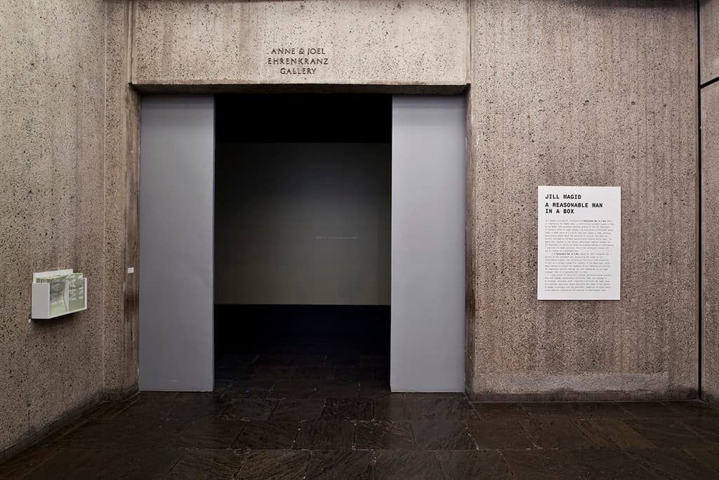 A Reasonable Man in a Box. Installation view Whitney Museum. 2010.