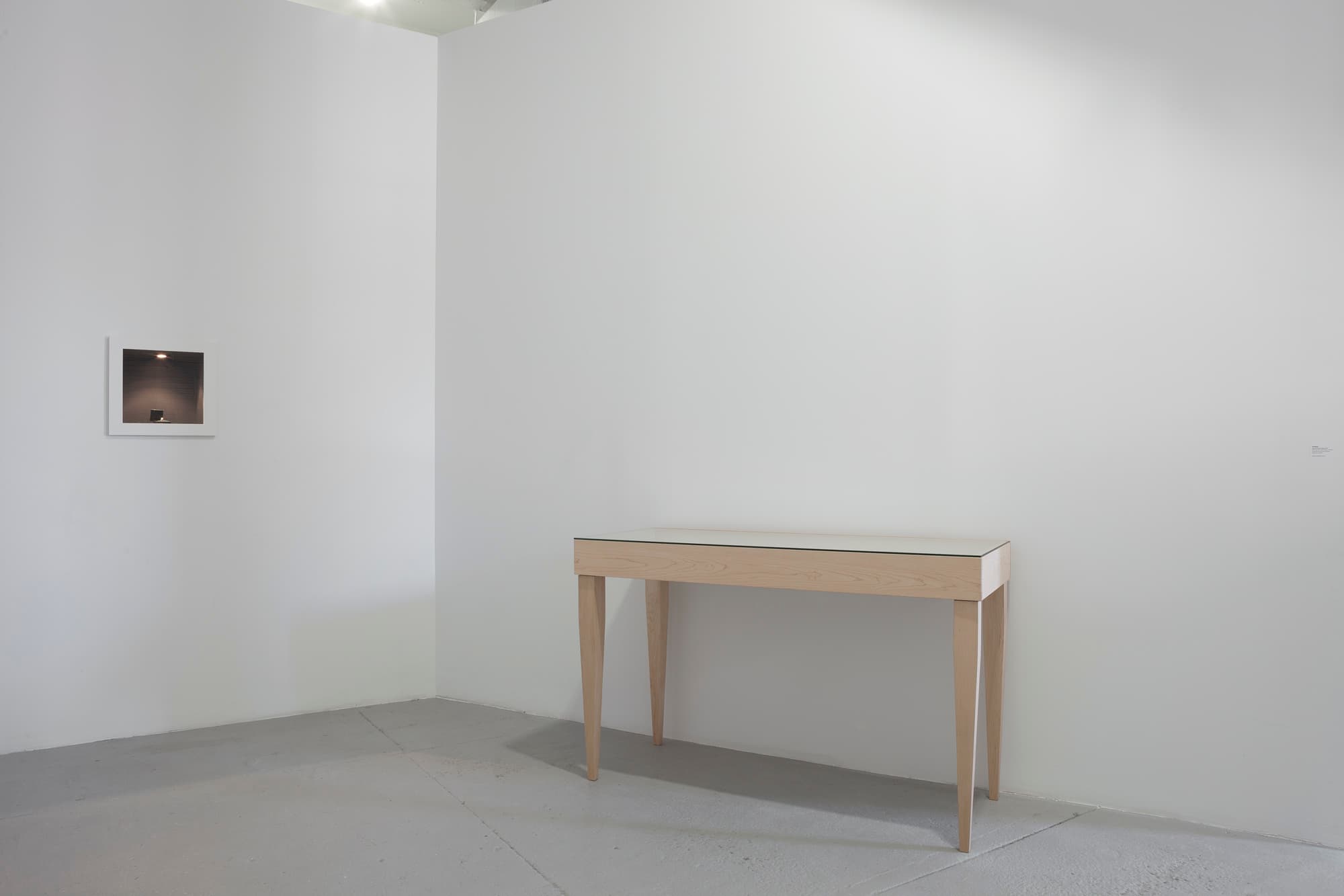 Auto Portait Pending. Installation view at Independent Art Fair, New York at RaebervonStenglin. 2013