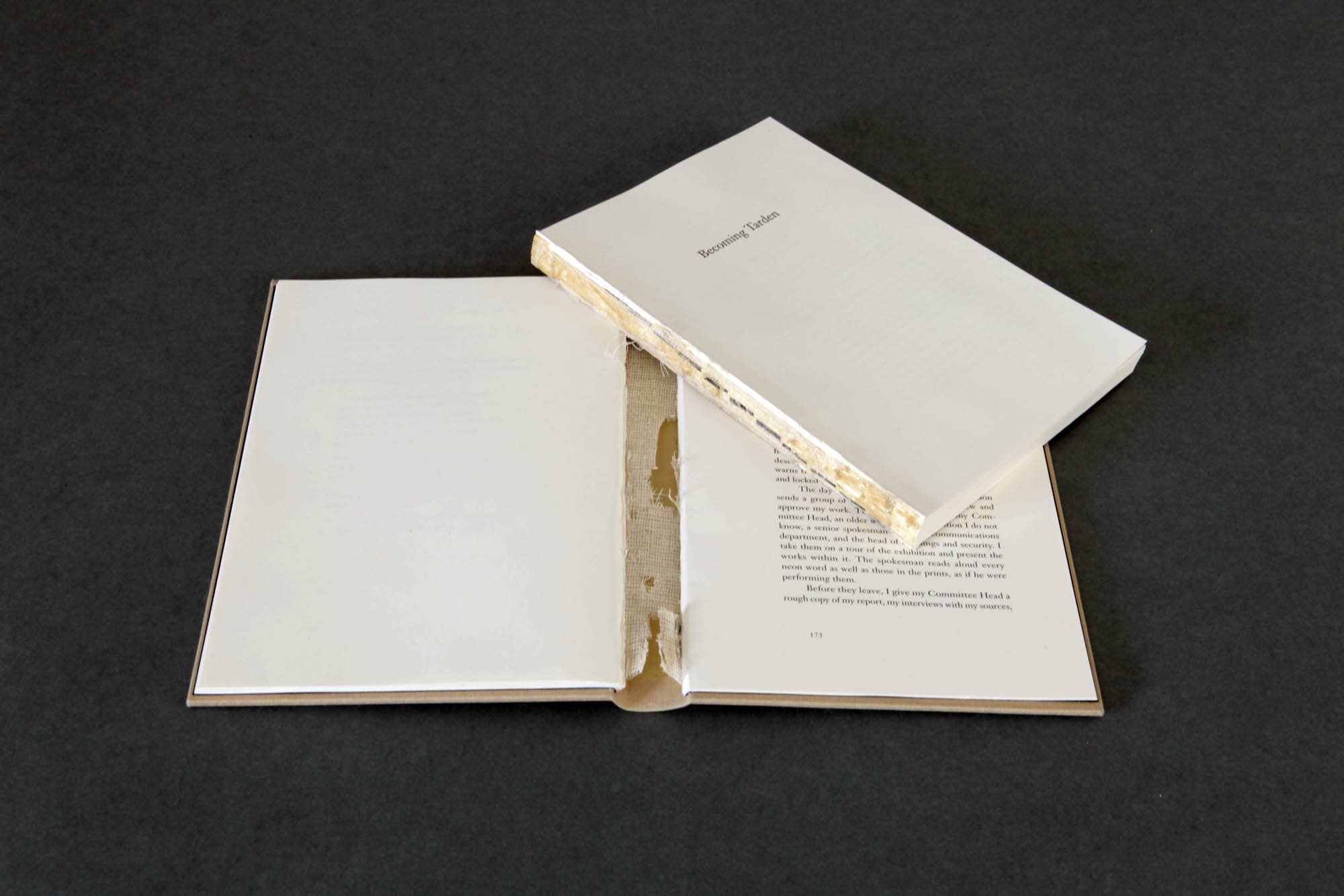 Hacked Book. 2009.