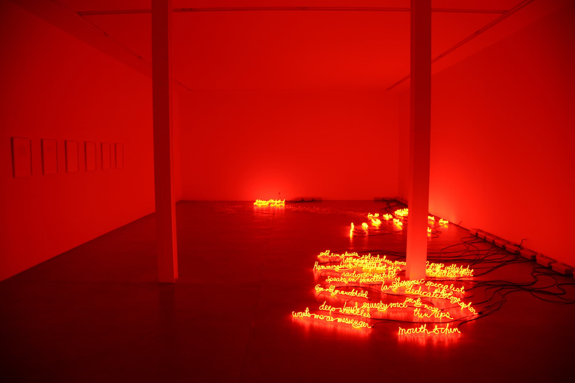 I Can Burn Your Face, installation View, Yvon Lambert Paris, 2009.