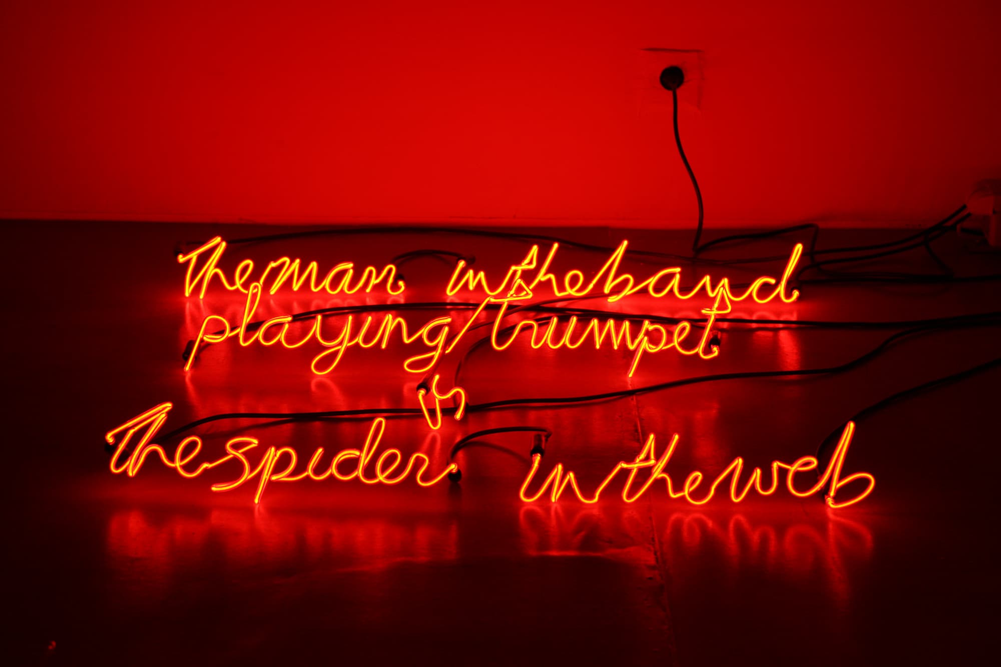 I Can Burn Your Face (detail), 2008.